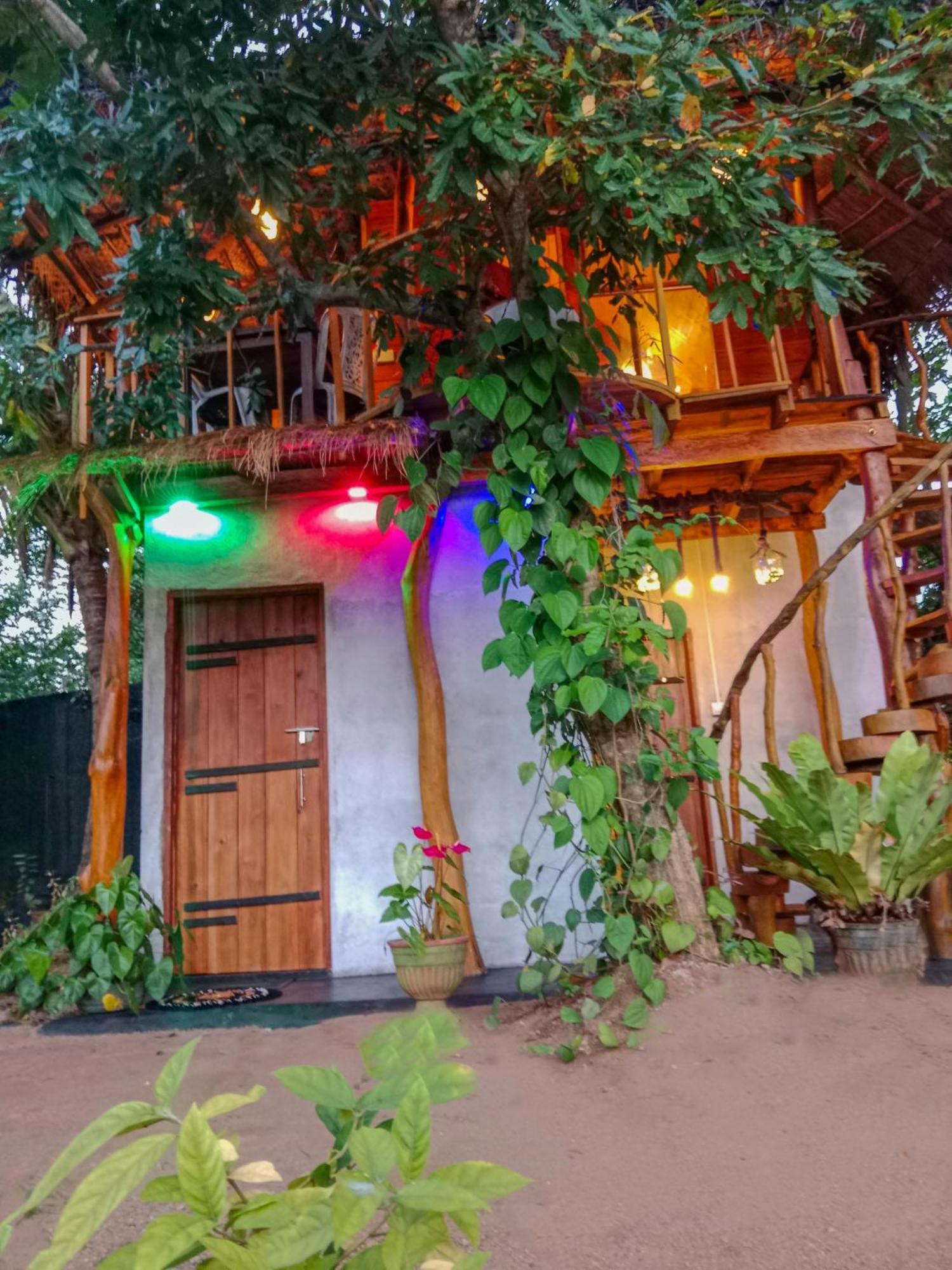 The Banda' Eco Villa Sigiriya Exteriör bild